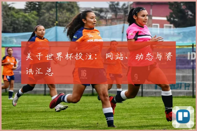关于世界杯投注：网站、动态与资讯汇总